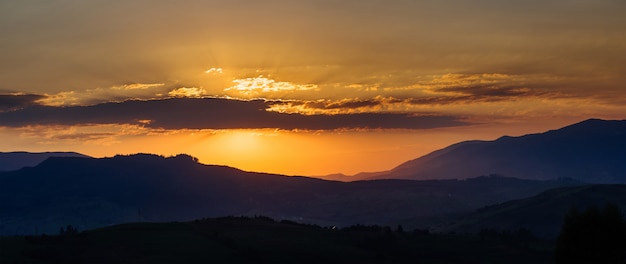 Bunte Sommerlandschaft