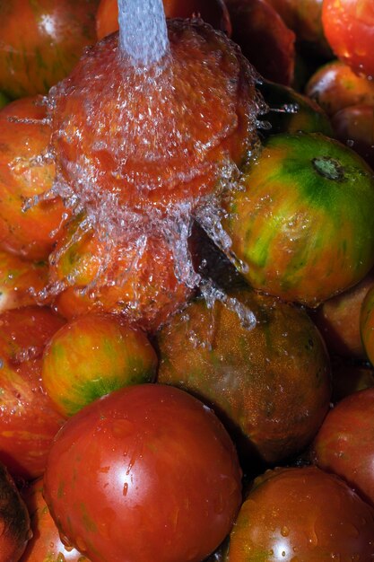 Bunte Tomaten werden in einem Strom von sauberem Wasser gewaschen Nahaufnahme Makrofotografie