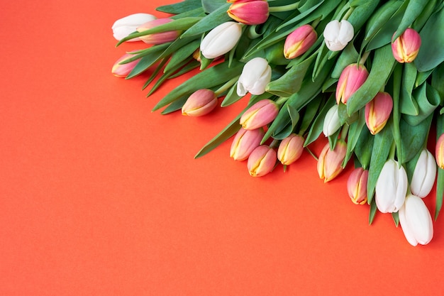 Bunte Tulpen auf orange Hintergrund. Platz kopieren. Geburtstag, Muttertag, Valentinstagkonzept.