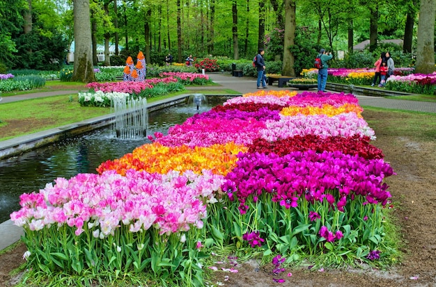 Bunte Tulpen Keukenhof Park Lisse in Holland