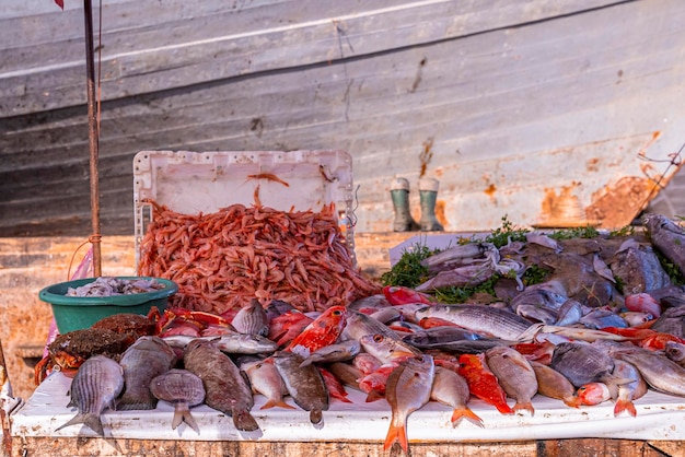 Bunte verschiedene rohe, frisch gefangene Fische, die auf dem Tisch zum Verkauf auf dem Markt angezeigt werden, Meeresfrüchte zum Verkauf auf dem Basar?