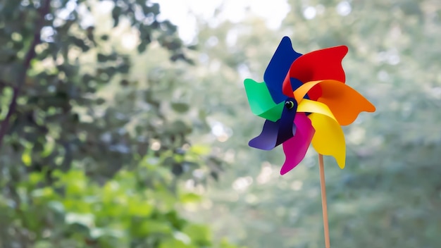 Foto bunte wetterfahne auf grünem hintergrund