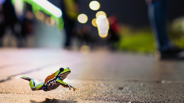 Bunter Frosch springt auf dem Bürgersteig einer belebten Straße, viele Beine gehen vorbei