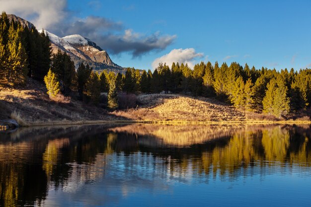 Bunter gelber Herbst in Colorado, USA. Herbstsaison.