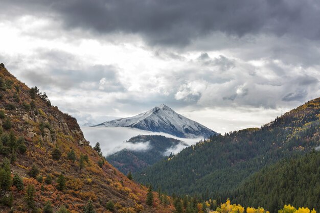 Bunter gelber Herbst in Colorado, USA.