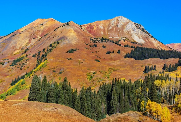 Bunter gelber Herbst in Colorado, Vereinigte Staaten. Herbstsaison.