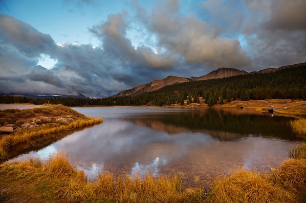 Bunter gelber Herbst in Colorado, Vereinigte Staaten. Herbstsaison.