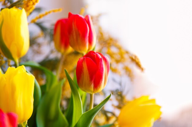 Bunter Glückwunschfrühlingsstrauß aus Tulpen und Mimose. Kleiner Fokus ausgewählt.