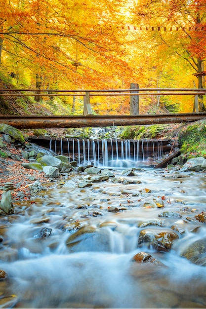 Bunter Herbst im Wald bunte Bäume kleine Holzbrücke und schneller Fluss mit Steinen fallen Landschaft