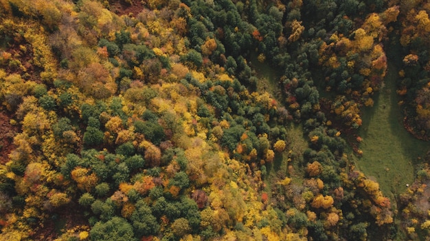 Bunter Herbst