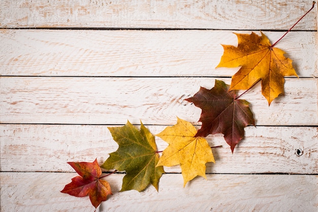 Bunter Herbstlaub auf Holz