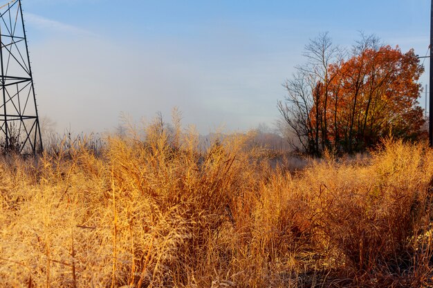 Bunter Herbstmorgen in den Karpaten Ukraine, Europa.