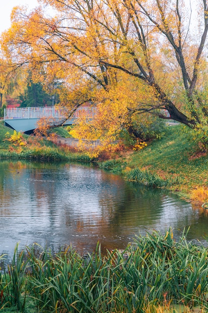 Bunter Herbstpark. Herbstbäume mit Gelb verlässt im Herbstpark. Belgorod. Russland.