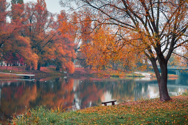 Bunter Herbstpark. Herbstbäume mit Gelb verlässt im Herbstpark. Belgorod. Russland.