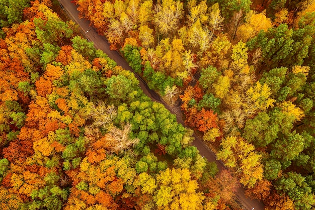 Bunter Herbstwald bilden sich oben mit einer leeren Straße, die mit einer Drohne aufgenommen wurde. Natürlicher saisonaler Landschaftshintergrund.