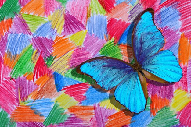 Bunter Schmetterling auf buntem Hintergrund
