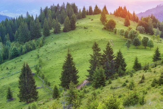 Bunter Sommersonnenuntergang in den Bergen