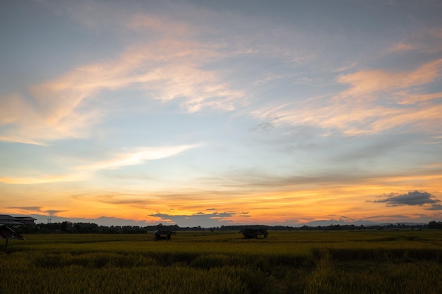 Bunter Sonnenuntergang und Sonnenaufgang mit Wolken Blaue und orange Farbe der Natur Viele Wolken am Himmel