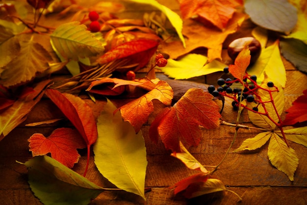 Bunter und heller gefallener Herbstlaubhintergrund