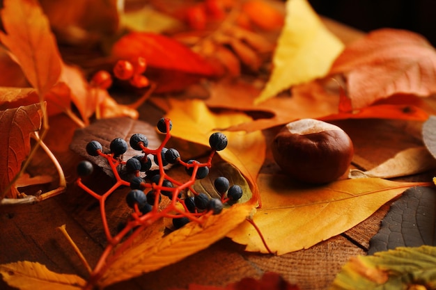 Bunter und heller gefallener Herbstlaubhintergrund