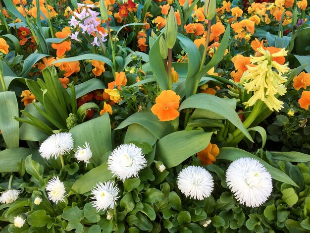 Buntes Blumenbeet in East Grinstead