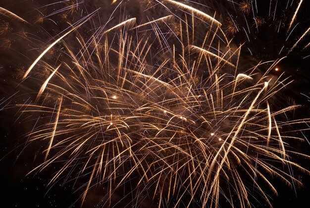 Buntes Feiertagsfeuerwerk auf dem schwarzen Himmelhintergrund.