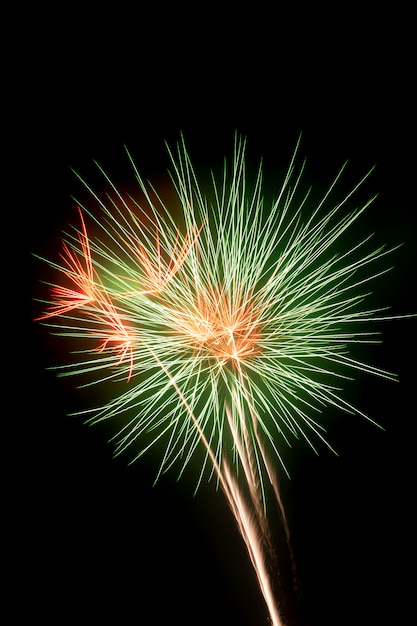 Buntes Feuerwerk auf dem schwarzen Himmel