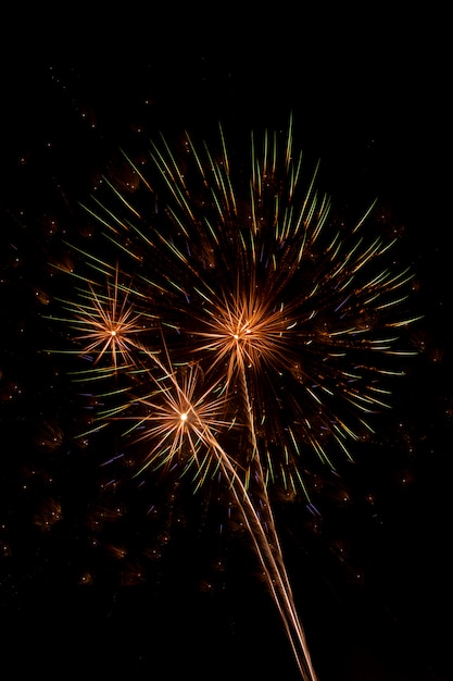 Buntes Feuerwerk auf dem schwarzen Himmel