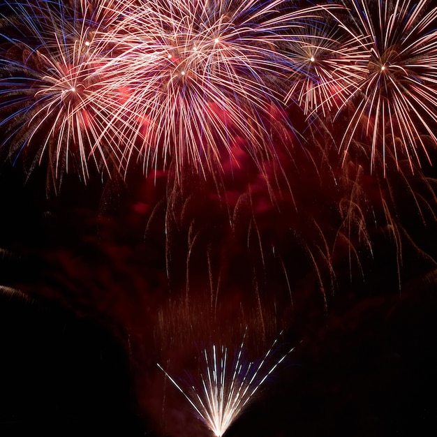 Buntes Feuerwerk auf dem schwarzen Himmelhintergrund