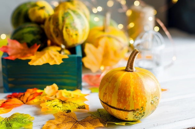 Buntes Herbstlaub und kleine Kürbisse