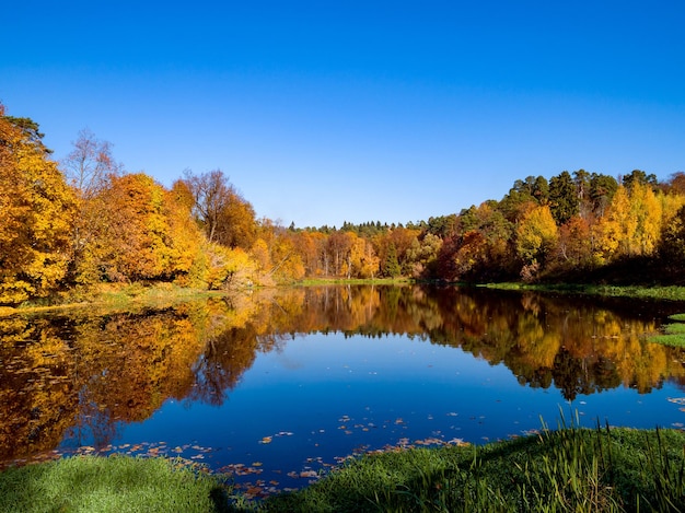 Buntes Herbstwaldholz auf dem See