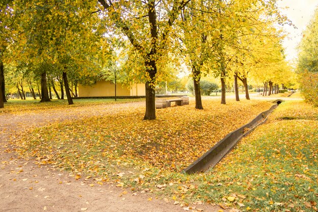 Buntes Laub im Stadtpark