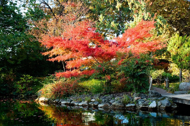 Buntes Ufer des Sees, Fluss. Schöne Herbstlandschaft