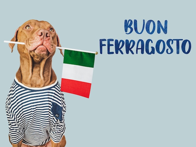 Foto buon ferragosto cachorro fofo e bandeira italiana