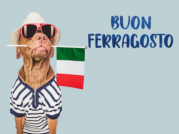 Foto buon ferragosto lindo perro y bandera italiana