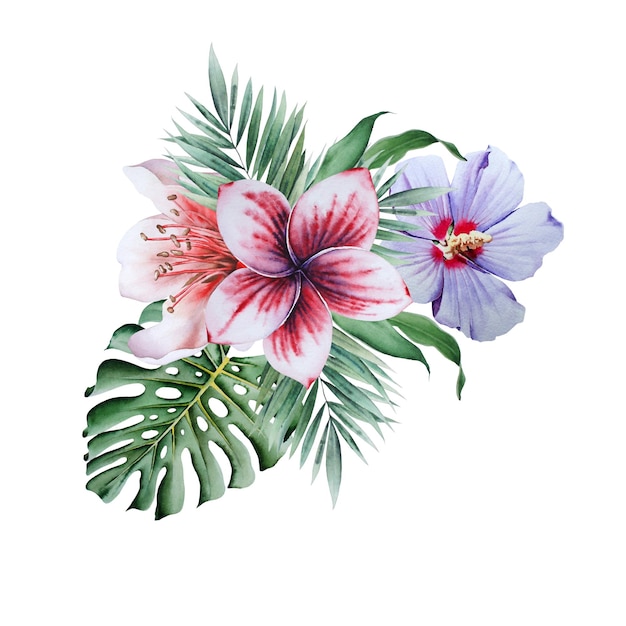 Buquê brilhante com flores Hibiscus Monstera Ilustração em aquarela Desenhado à mão