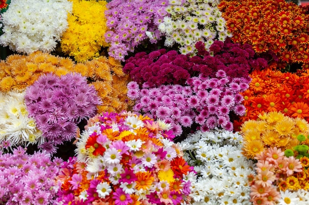 Foto buquê colorido de flores desabrochando em um mercado ao ar livre