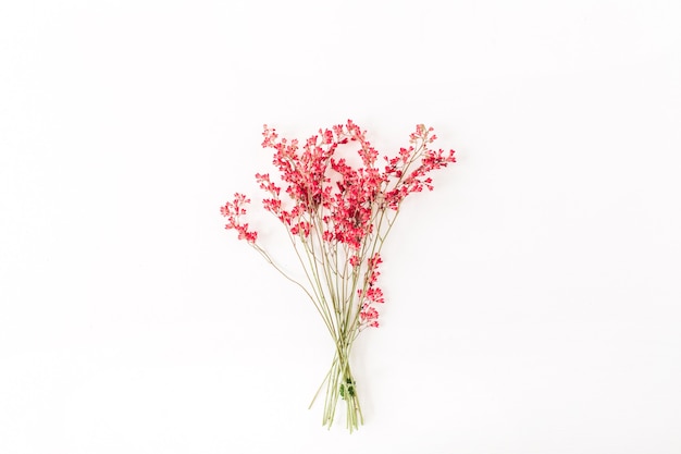 Buquê colorido de flores silvestres vermelhas na superfície branca