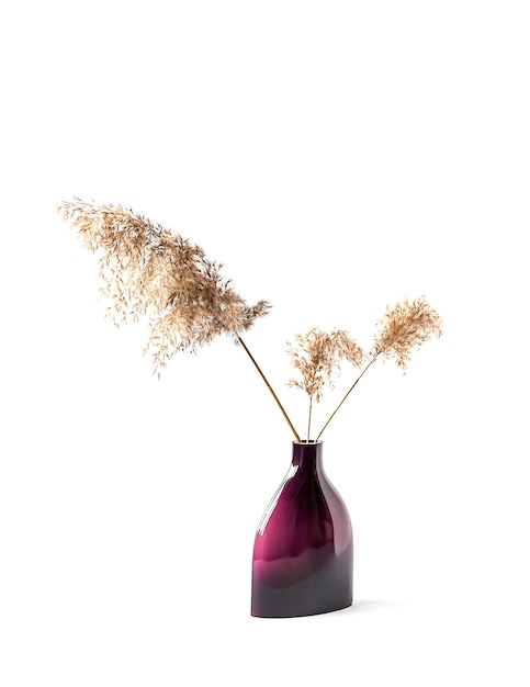 Buquê das plantas de junco naturais secas em vaso cerâmico em fundo branco