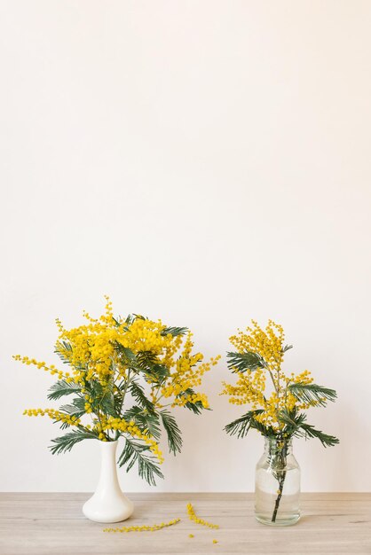 Buquê de flores amarelas de mimosa em um vaso Conceito de dia das mulheres ou das mães