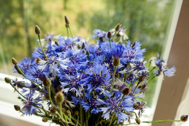 Foto buquê de flores azuis no peitoril da janela