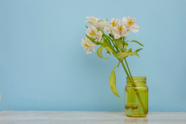 Buquê de flores brancas em um vaso amarelo com fundo azul decoração de interiores elegante