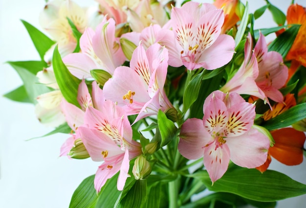 Buquê de flores coloridas de alstroemeria fundo A flor de Alstroemeria é colorida Closeup