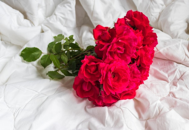 Buquê de flores coloridas de rosas vermelhas isoladas no fundo branco closeup