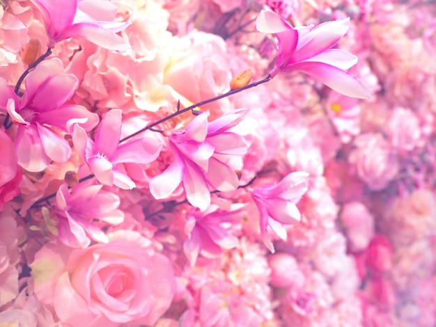 Buquê de flores cor de rosa para dia dos namorados ou fundo do dia do casamento