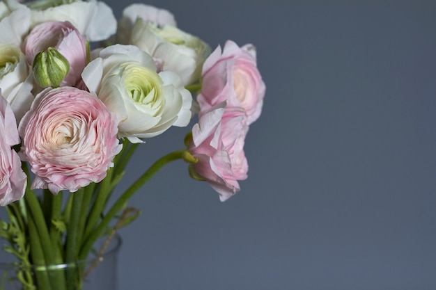 Buquê de flores da primavera. flores cor-de-rosa e brancas do ranúnculo isoladas. bouquet lindo botão de ouro.