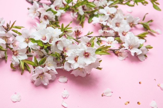 Buquê de flores de amêndoa no espaço de cópia de fundo rosa