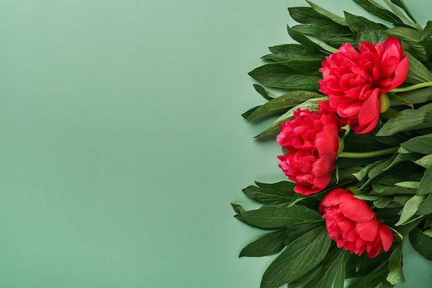 Buquê de flores de belas peônias vermelhas sobre fundo verde, vista superior, cópia espaço, plano-lay. Dia dos namorados, plano de fundo do dia das mães.