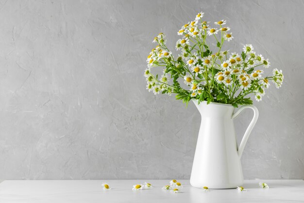 Buquê de flores de camomila ou camomila em branco com espaço de cópia