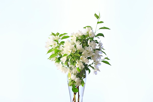 buquê de flores de galhos de macieira em um vaso, um lindo buquê no interior do loft de primavera